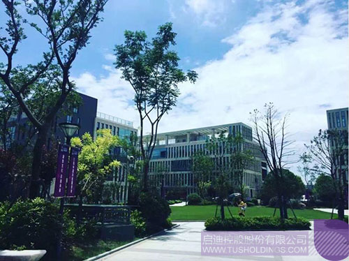 ׯ����Ϸ��(�й���)���޹�˾����