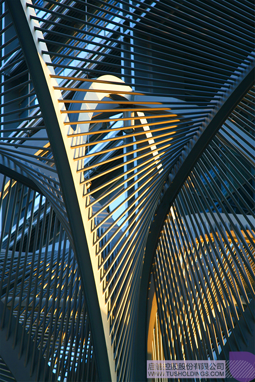 ׯ����Ϸ��(�й���)���޹�˾����