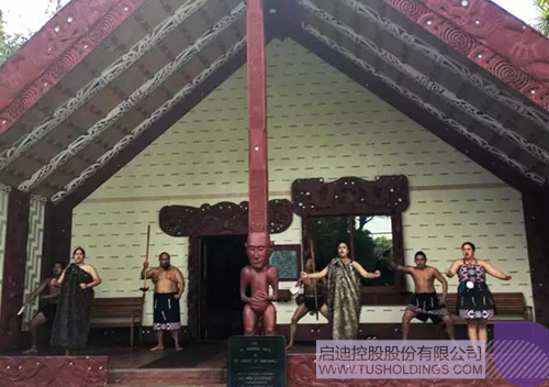 ׯ����Ϸ��(�й���)���޹�˾����