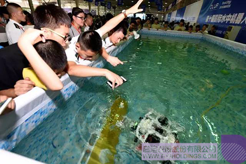 ׯ����Ϸ��(�й���)���޹�˾����