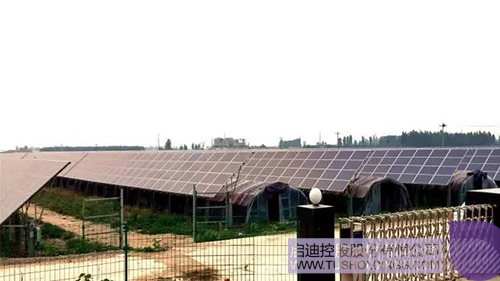 ׯ����Ϸ��(�й���)���޹�˾����