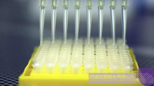 ׯ����Ϸ��(�й���)���޹�˾����