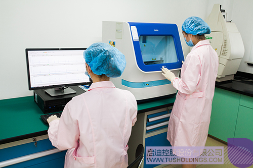 ׯ����Ϸ��(�й���)���޹�˾����