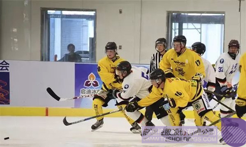 ׯ����Ϸ��(�й���)���޹�˾����