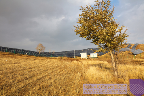 ׯ����Ϸ��(�й���)���޹�˾����