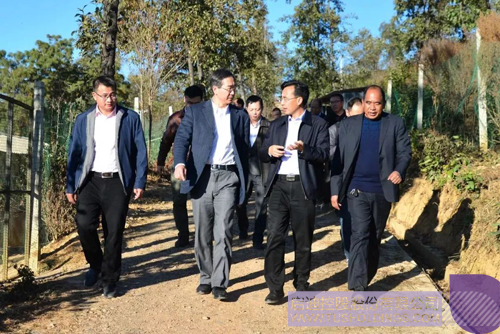 ׯ����Ϸ��(�й���)���޹�˾����