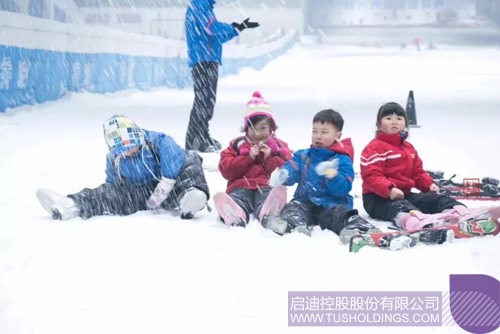 ׯ����Ϸ��(�й���)���޹�˾����