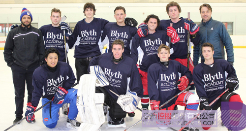 ׯ����Ϸ��(�й���)���޹�˾����