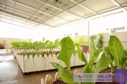 ׯ����Ϸ��(�й���)���޹�˾����