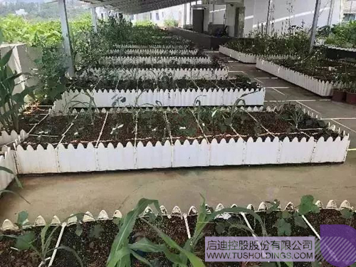 ׯ����Ϸ��(�й���)���޹�˾����