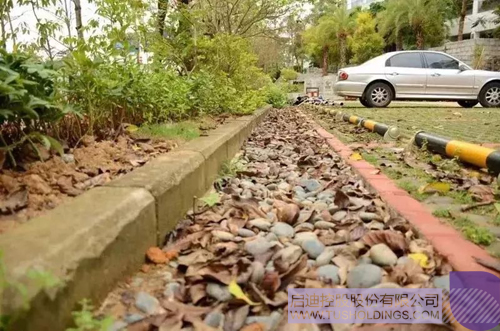 ׯ����Ϸ��(�й���)���޹�˾����