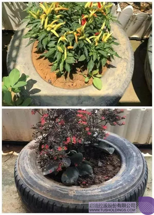 ׯ����Ϸ��(�й���)���޹�˾����