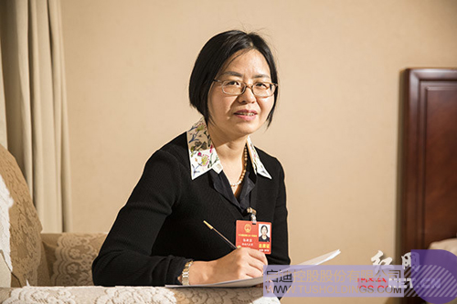 ׯ����Ϸ��(�й���)���޹�˾����