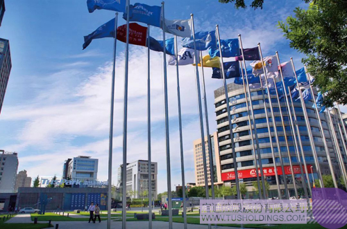 ׯ����Ϸ��(�й���)���޹�˾����