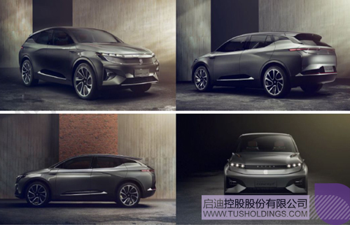 ׯ����Ϸ��(�й���)���޹�˾����