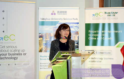 ׯ����Ϸ��(�й���)���޹�˾����