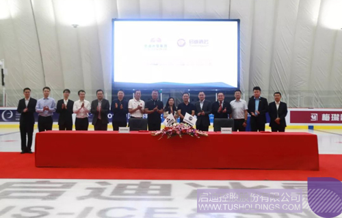 ׯ����Ϸ��(�й���)���޹�˾����