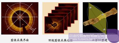 ׯ����Ϸ��(�й���)���޹�˾����