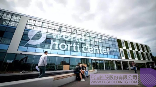 ׯ����Ϸ��(�й���)���޹�˾����