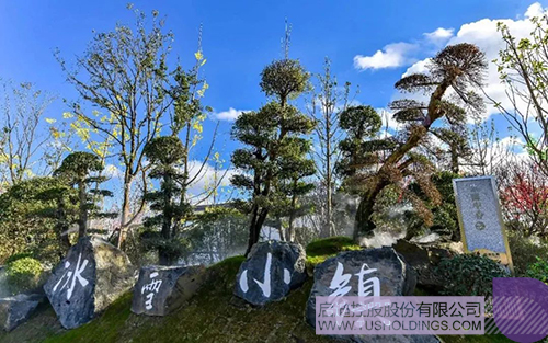 ׯ����Ϸ��(�й���)���޹�˾����