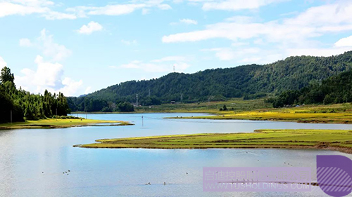 ׯ����Ϸ��(�й���)���޹�˾����