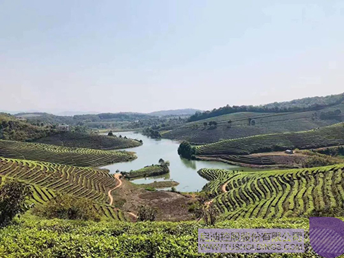 ׯ����Ϸ��(�й���)���޹�˾����