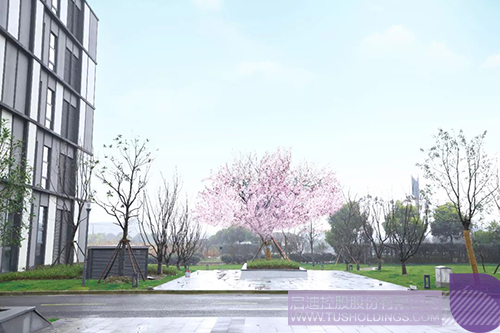 ׯ����Ϸ��(�й���)���޹�˾����