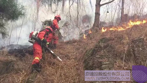 ׯ����Ϸ��(�й���)���޹�˾����