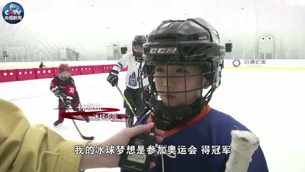 ׯ����Ϸ��(�й���)���޹�˾����