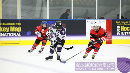 ׯ����Ϸ��(�й���)���޹�˾����