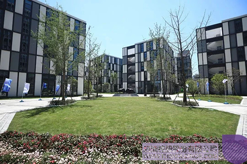 ׯ����Ϸ��(�й���)���޹�˾����