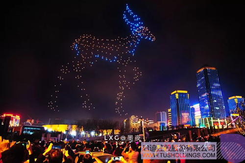 ׯ����Ϸ��(�й���)���޹�˾����