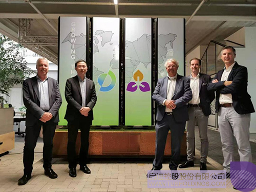 ׯ����Ϸ��(�й���)���޹�˾����