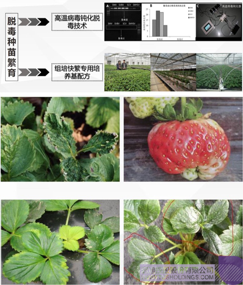 ׯ����Ϸ��(�й���)���޹�˾����