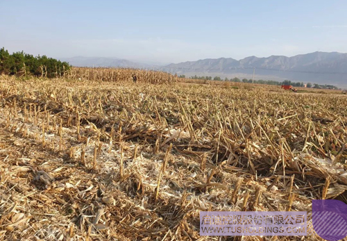 ׯ����Ϸ��(�й���)���޹�˾����