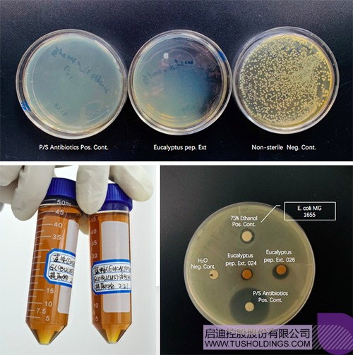 ��Ļ���� 2020-03-01 ����9.20.06.png