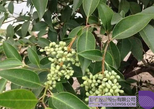 640-3 ����.jpg