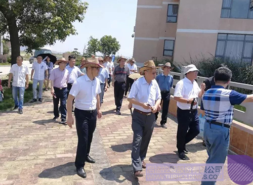 ׯ����Ϸ��(�й���)���޹�˾����