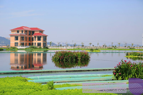 ׯ����Ϸ��(�й���)���޹�˾����