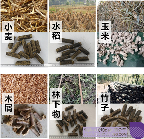 1683530232269030.jpg ΢ÐÅͼƬ_20230508151032c.jpg